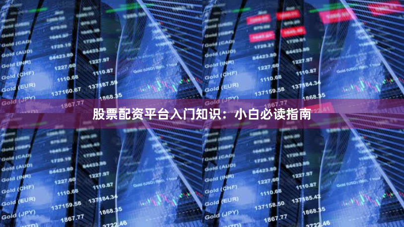 股票配资平台入门知识：小白必读指南